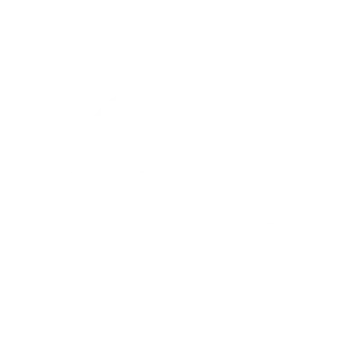 SS TYRES